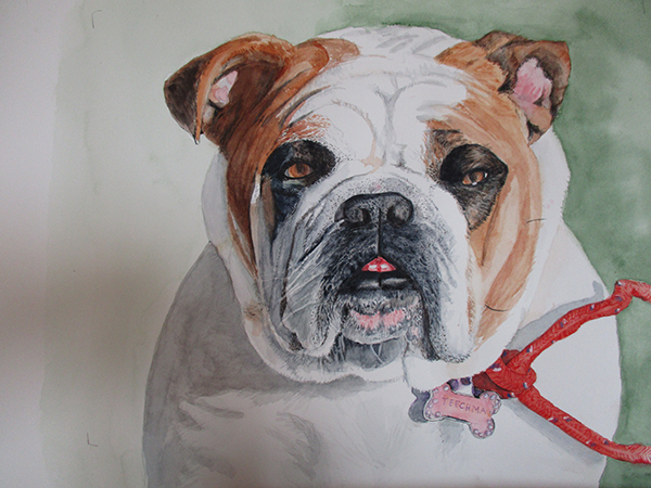 Bulldog painting by Beverly Beighle