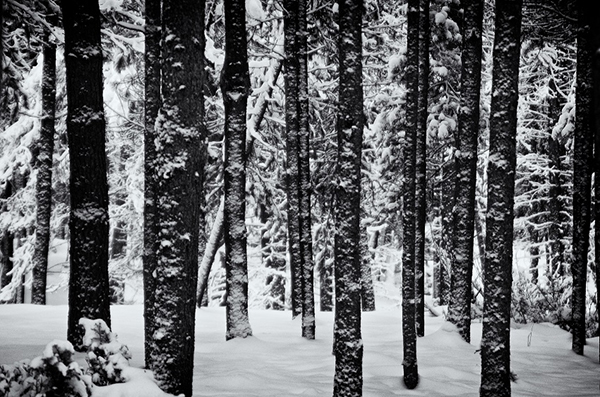 "Home Winter" by Ken Dvorak