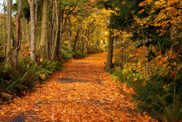 "Discovery Trail" by Jan Kepley