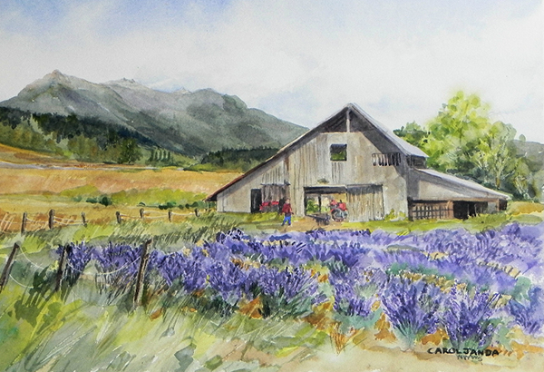 "Lavender Barn with an Olympic Mountain View" by Carol Janda