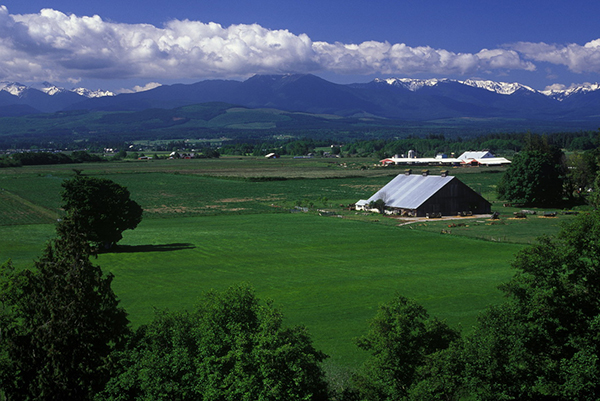 "Sequim Valley" by Jan Kepley