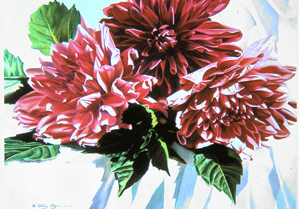 "Sunlit Dahlias" by Sally Cays