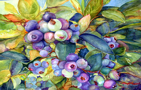 watercolor painting by Allyn Lawson of blueberries